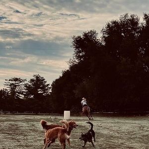 Meet your Posher, Nichole